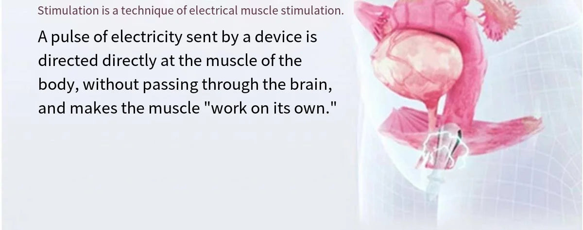 NordiKegel™ – The Ultimate Pelvic Floor Muscle Trainer ✨ Biofeedback EMG