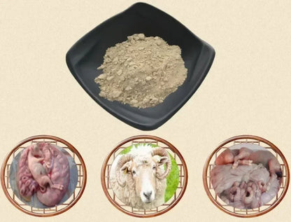 Sheep Placenta Extract 50:1 Powder