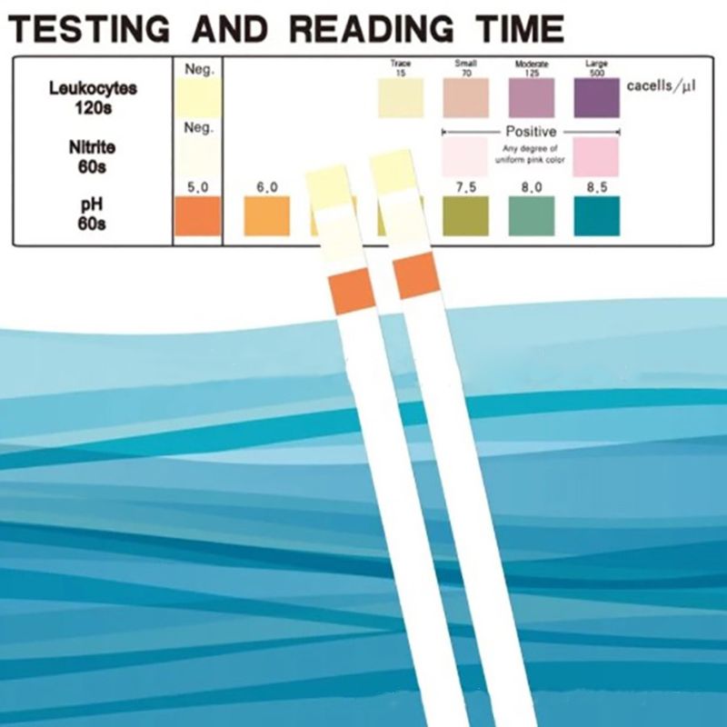 FAMLIX NORDIC CARE: UTI TEST STRIPS 100ct