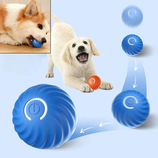 Familx's "Björk Ball": The Smart Interactive Dog Toy!