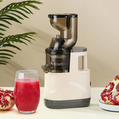 ✨ The Fjörd Juicer ✨