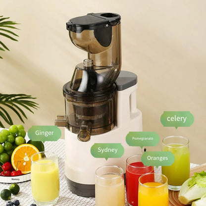 ✨ The Fjörd Juicer ✨