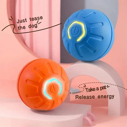 Familx's "Björk Ball": The Smart Interactive Dog Toy!