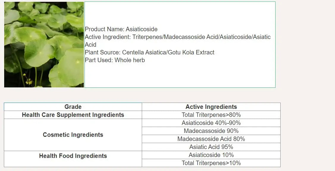 Gotu Kola Extract, Asiaticoside Centella Asiatica Powder