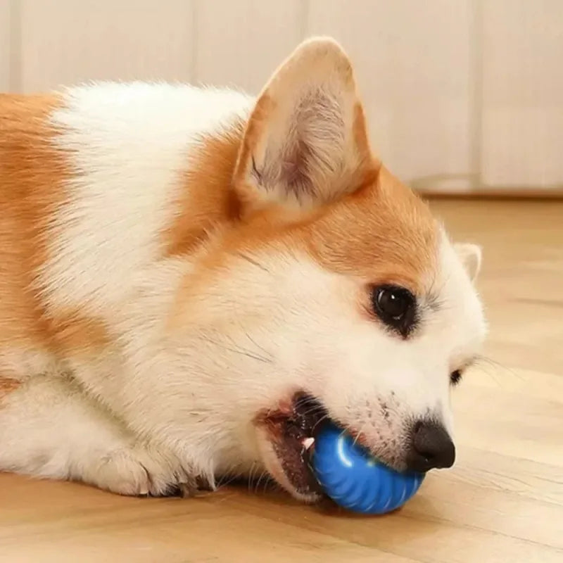 Familx's "Björk Ball": The Smart Interactive Dog Toy!