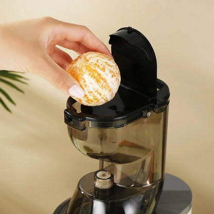 ✨ The Fjörd Juicer ✨