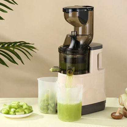 ✨ The Fjörd Juicer ✨