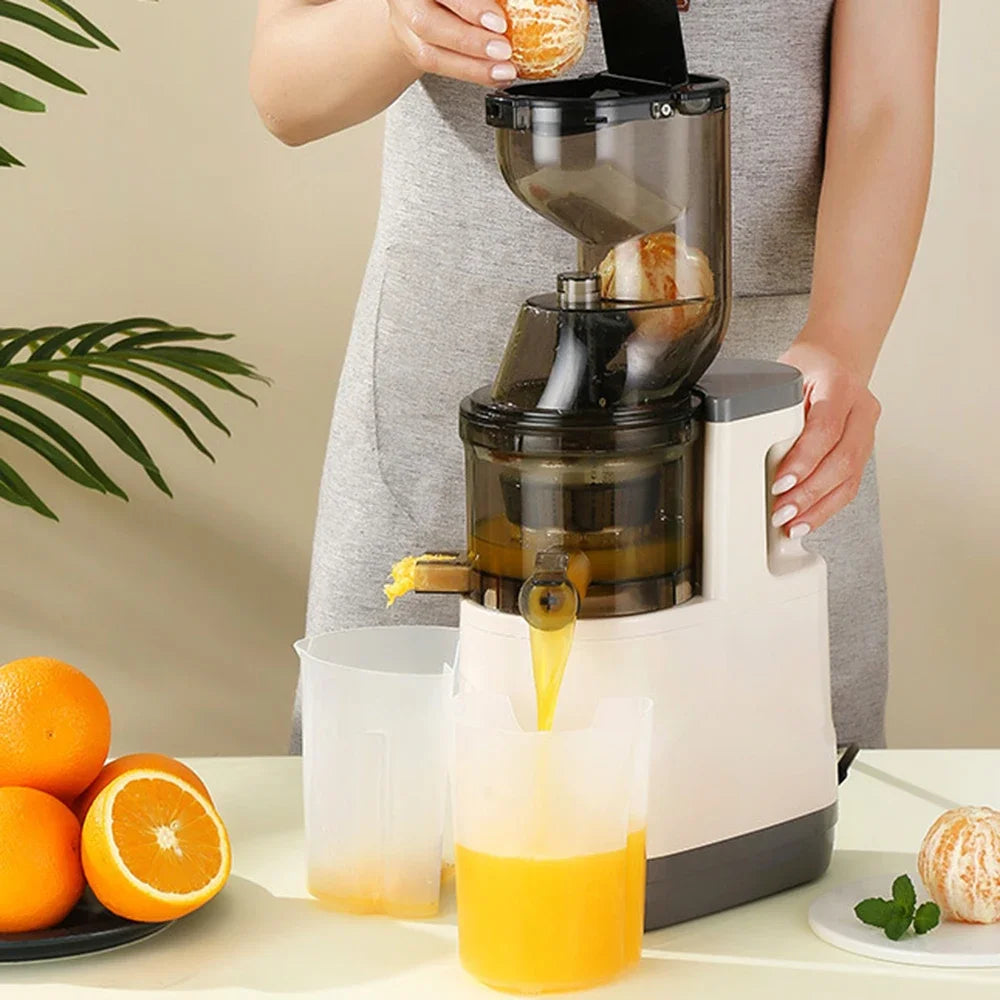 ✨ The Fjörd Juicer ✨