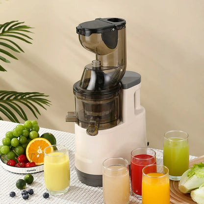 ✨ The Fjörd Juicer ✨