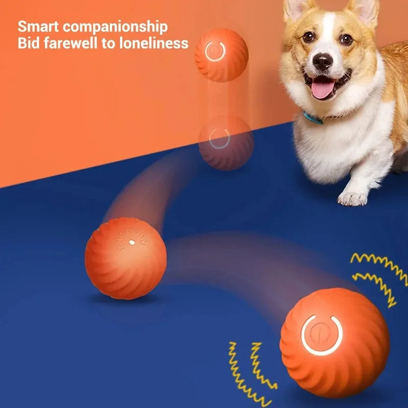 Familx's "Björk Ball": The Smart Interactive Dog Toy!