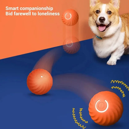 Familx's "Björk Ball": The Smart Interactive Dog Toy!