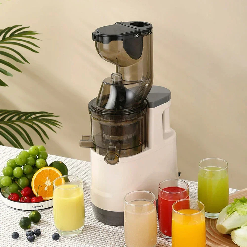 ✨ The Fjörd Juicer ✨