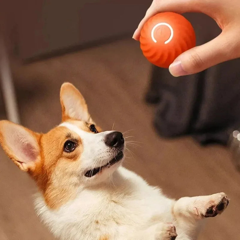 Familx's "Björk Ball": The Smart Interactive Dog Toy!