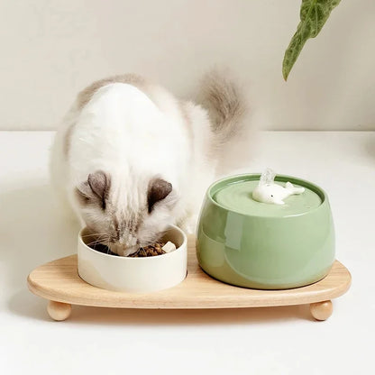 FjordFlow™ Ceramic Cat Water Fountain