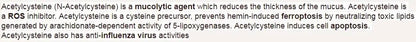 Nac, N-acetyl-l-cysteine Powder